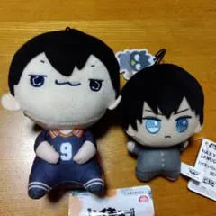 ハイキュー　もちぴこ　ぬいぐるみ　ちびぐるみ　 影山　飛雄　タグ付き　サンリオ