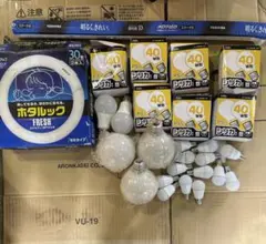 白熱電球 100W 60W 40W9 0W シリカ 43個 まとめ売り - メルカリ