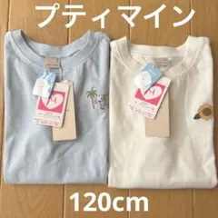 petit main 接触冷感Tシャツ 120cm 2枚のサムネイル