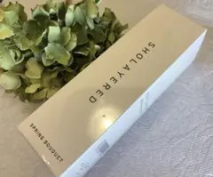 新品未開封SHOLAYERED ボディスプレー 100ml