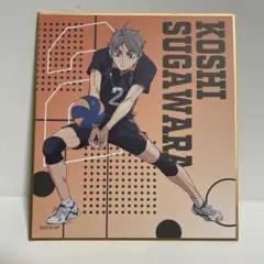 ハイキュー！！トレーディングミニ色紙