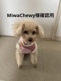 M iwaChewy様確認用ページ