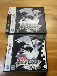 ポケットモンスター ブラック 外箱付き