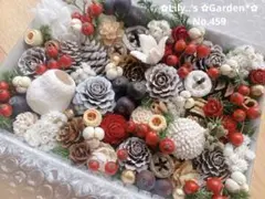 木の実詰め合わせ　No.459