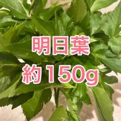 農薬不使用明日葉約150g 準新芽～外葉 東京都産アシタバ あしたば健康野菜のサムネイル
