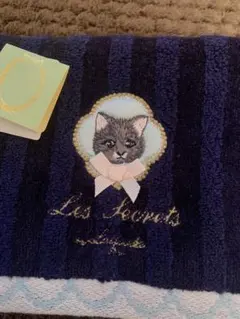 Item thumbnail for item 9006cbd5-8523-4050-8330-8b4666015a2f