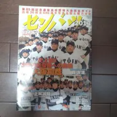 センバツ2013 第85回記念選抜高校野球大会完全ガイド
