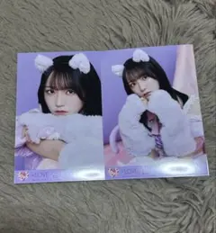 イコラブ ＝LOVE 生写真 野口衣織 猫 7周年 セミコンプ