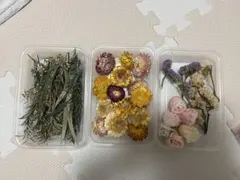 ドライフラワー花材セット