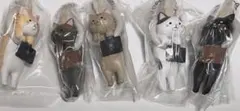 通勤ねこ2 5個セット