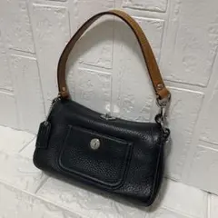 【極美品】 コーチ アクセサリーポーチ ターンロック 黒