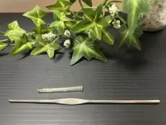 Item thumbnail for item 4777c8a2-32d6-4660-9321-53cf8a0865e8