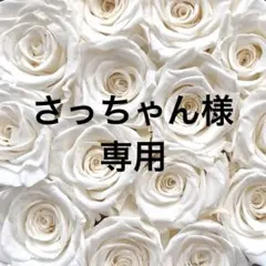 さっちゃん様専用ページ