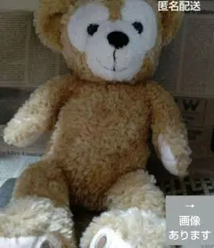 東京ディズニーシー ぬいぐるみ ダッフィー シェリーメイ セット