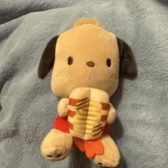 サンリオ ポチャッコぬいぐるみ 約20cm スシロー日焼けバージョン