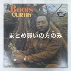UK盤/高音質180g重量盤/Curtis Mayfield / Roots