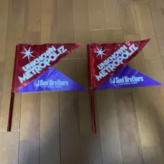 J Soul Brothers UNKNOWN METROPOLIZ フラッグ