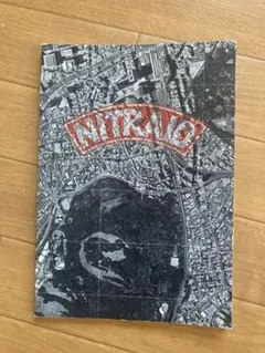 nitraid 2010 S/S カタログのサムネイル