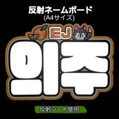 &TEAM　ウィジュ　EJ　反射ネームボード　反射シートのサムネイル