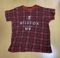 レア　WILDFOX  ワイルドフォックス　ティシャツのサムネイル