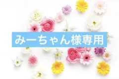 みーちゃん様専用⭐︎