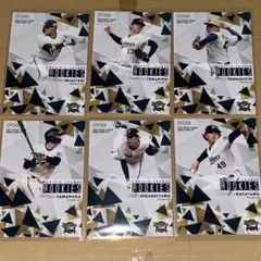 Item thumbnail for item 0aaf120d-e8bb-41dd-b2f9-444760d57503