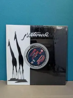 2026年最新】shakkazombie レコードの人気アイテム - メルカリ