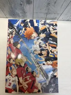 劇場版ハイキューゴミ捨て場の決戦