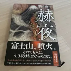 Item thumbnail for item c9023a57-c10f-4473-85d9-2473c7690198