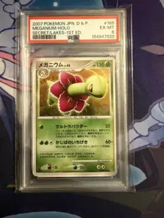 英語版ポケカ＊メガニウム　Meganium 初期eカード＊リバホロ＊旧裏＊難あり 英語版ポケカ＊メガニウム Meganium 初期eカード＊リバホロ＊旧裏＊難