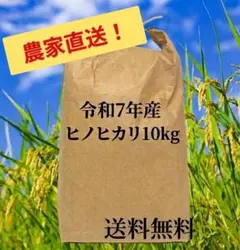 玄米】令和7年 昔ながらの「稲架掛け米」天日干し ササニシキ 10Kg