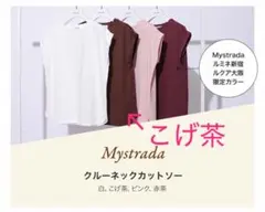 新品 Mystrada クルーネックカットソー こげ茶のサムネイル