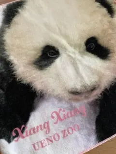 2026年最新】上野動物園 パンダ シャンシャンの人気アイテム - メルカリ