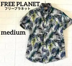 Item thumbnail for item 8dda0189-adc9-45a0-bb04-d65b0e8598e8