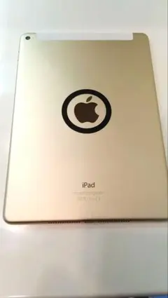 iPad Air2 32GB docomo 美品