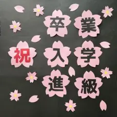 SSKR　株様 リクエスト 2点 まとめ商品