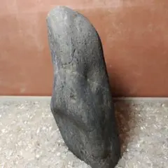 2025年最新】瀬田川石の人気アイテム - メルカリ