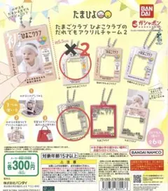 たまひよ　だれでもアクリルチャーム2 後期のみ