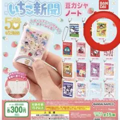 サンリオキャラクターズ いちご新聞 豆ガシャノート No.40 キキララ