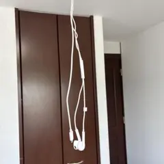 純正Appleの有線イヤホン、EarPods