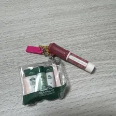 ミニチュアチャーム VT CICA & CANMAKE