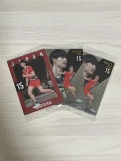 Item thumbnail for item 525c5285-c816-4353-bfd5-84b1cad503ba