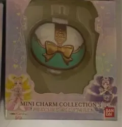 アリス様　専用