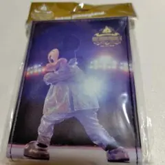 東京ディズニーランド　ワンマンズドリームII　ミッキーミラー