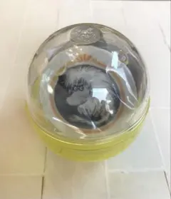 Item thumbnail for item e4996c6a-3f1c-4556-87cc-5d5489ff919d