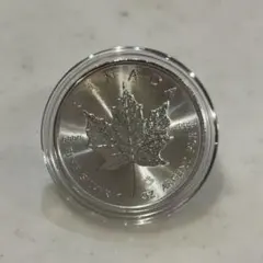 2026年最新】メイプルリーフ銀貨の人気アイテム - メルカリ