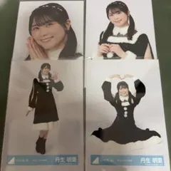 日向坂46 丹生明里 ネイビーサンタ衣装 生写真 4種