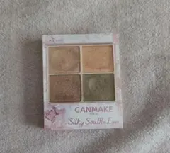 CANMAKE　キャンメイク　 シルキースフレアイズ 09　廃盤品
