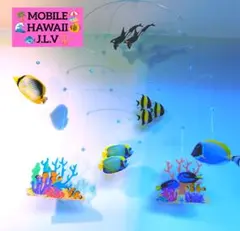 スキューバダイビング　モビール　シャチ　オルカ　サンゴ礁　珊瑚