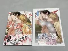 針鼠とコントラスト（3） コミコミ